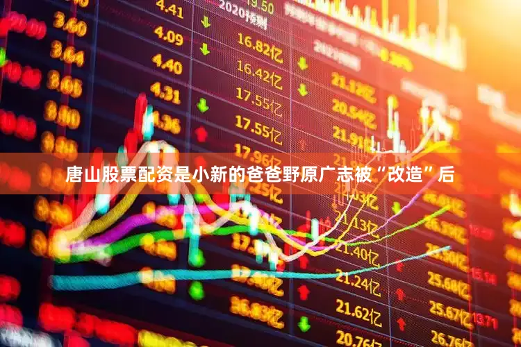 唐山股票配资是小新的爸爸野原广志被“改造”后