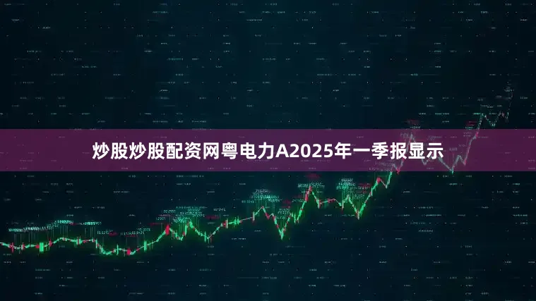 炒股炒股配资网粤电力A2025年一季报显示