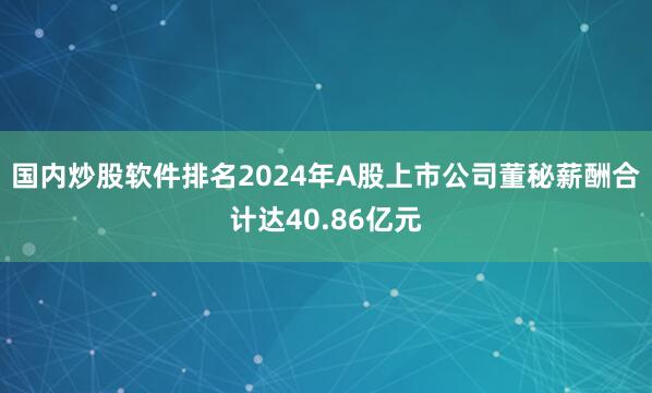 国内炒股软件排名2024年A股上市公司董秘薪酬合计达40.86亿元