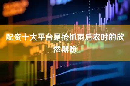 配资十大平台是抢抓雨后农时的欣然期盼