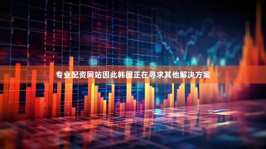 专业配资网站因此韩国正在寻求其他解决方案